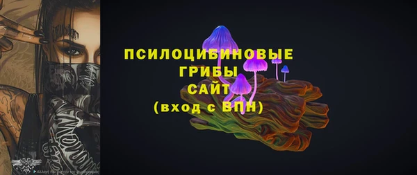 ГАЛЛЮЦИНОГЕННЫЕ ГРИБЫ Киренск