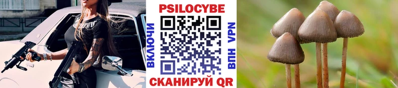 Галлюциногенные грибы Cubensis  Златоуст 